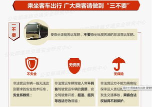 黑龍江省公安交通管理局互聯網交通安全服務管理平臺 便捷高效的互聯網安全服務