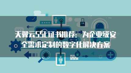 企業(yè)級服務(wù)器租用與互聯(lián)網(wǎng)安全定制服務(wù) 一站式解決方案